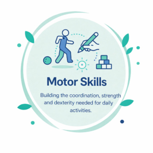 Motor Skills Motor Skills